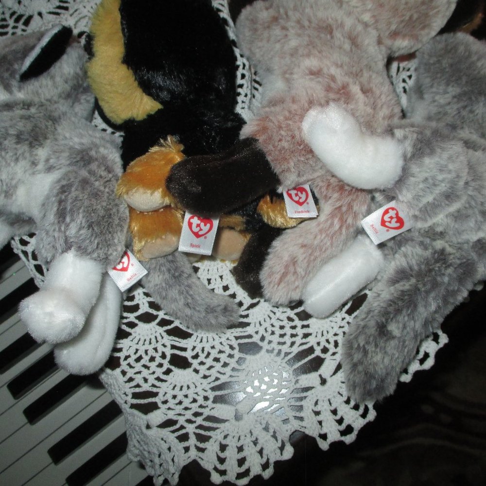 Ty Collection - Picture 7 of 7